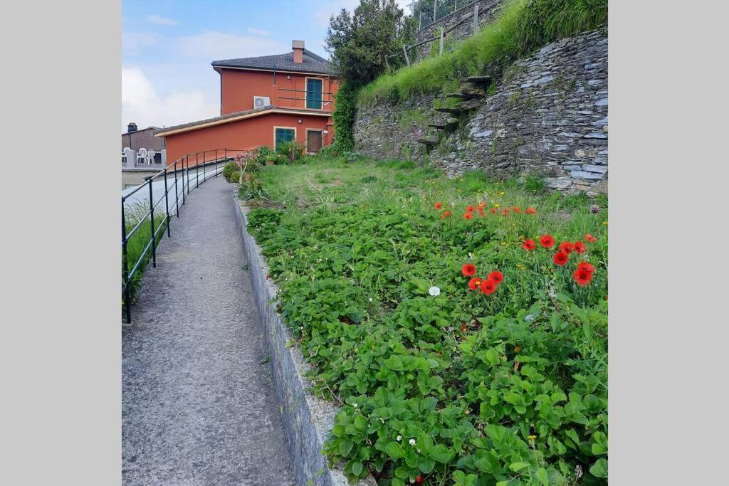 La Finestra Sul Golfo - Citra 010018-Lt-0033 - Villa Cogorno Kültér fotó